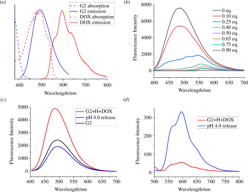 Absorption and fluorescence emission spectra of G2 and DOX.