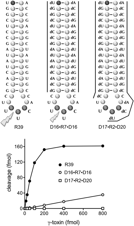 FIGURE 4.