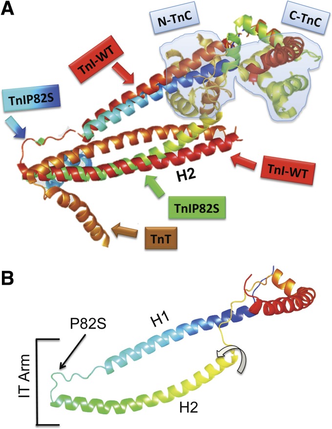 Fig. 6.