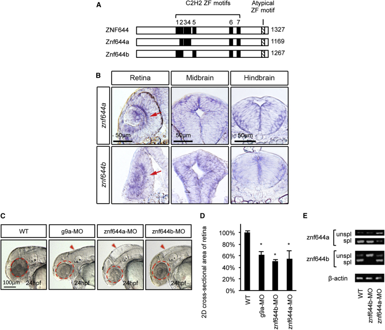 Figure 2