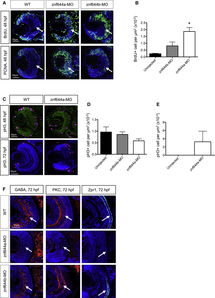 Figure 4