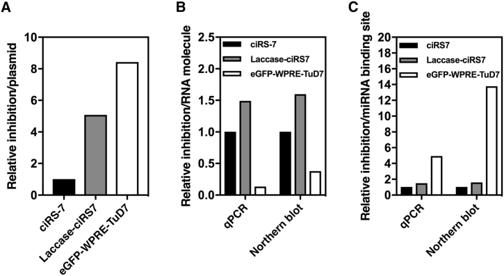 Figure 5