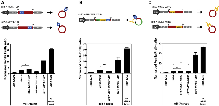 Figure 2