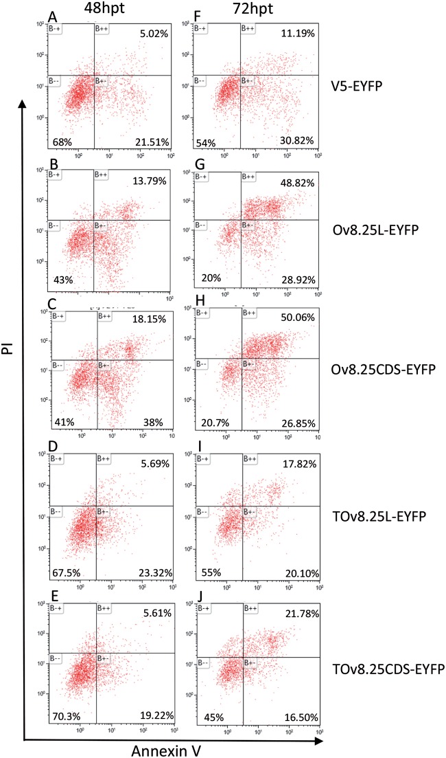 FIG 12