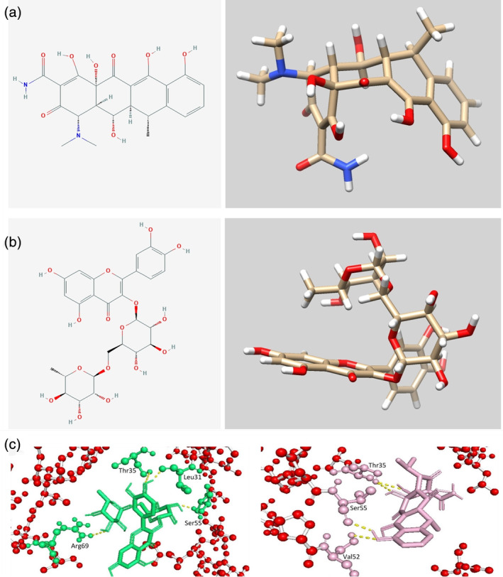 FIGURE 6