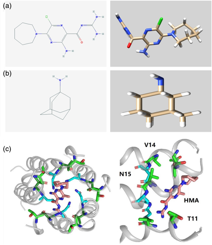 FIGURE 3