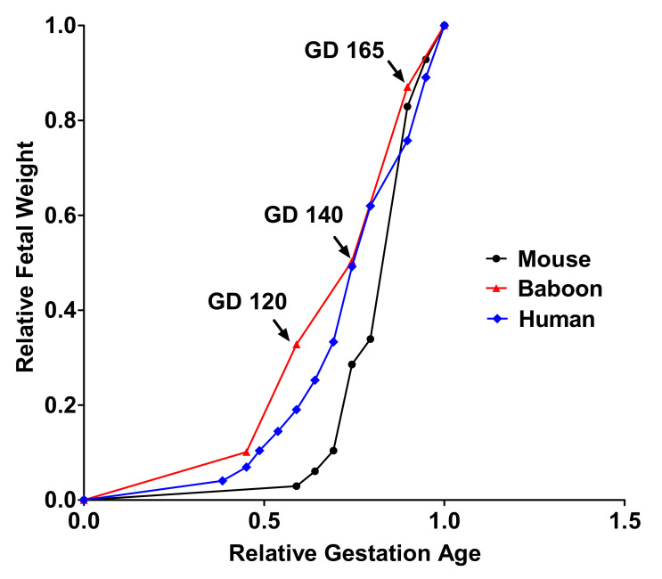 Figure 11