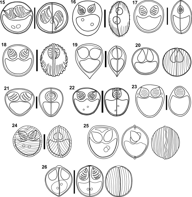 Figure 15–26