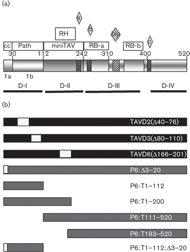 Fig. 1. 