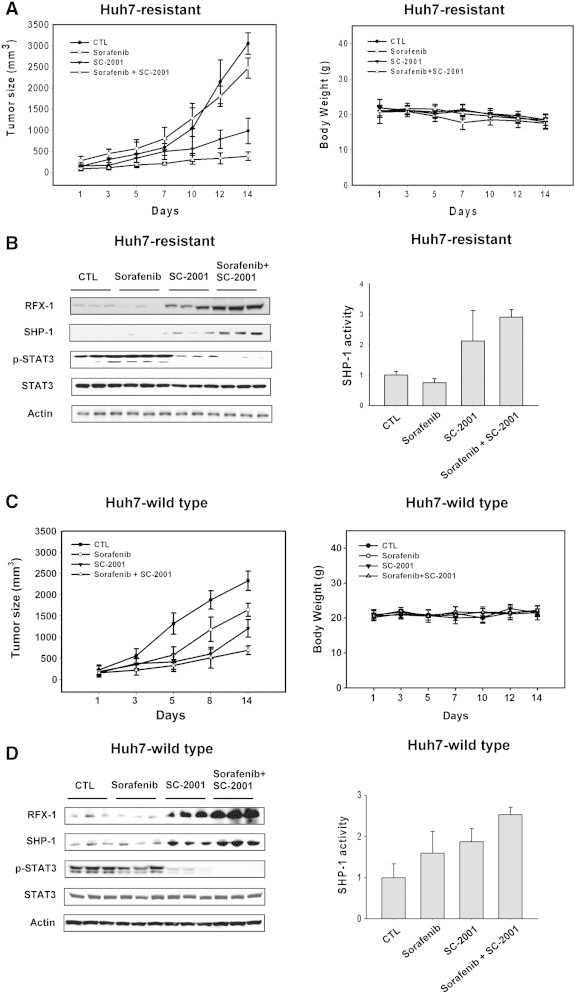 Figure 6