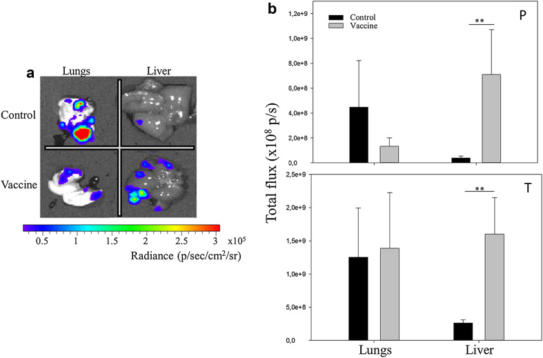 Fig. 6