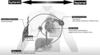 <b>FIG. 7.</b>