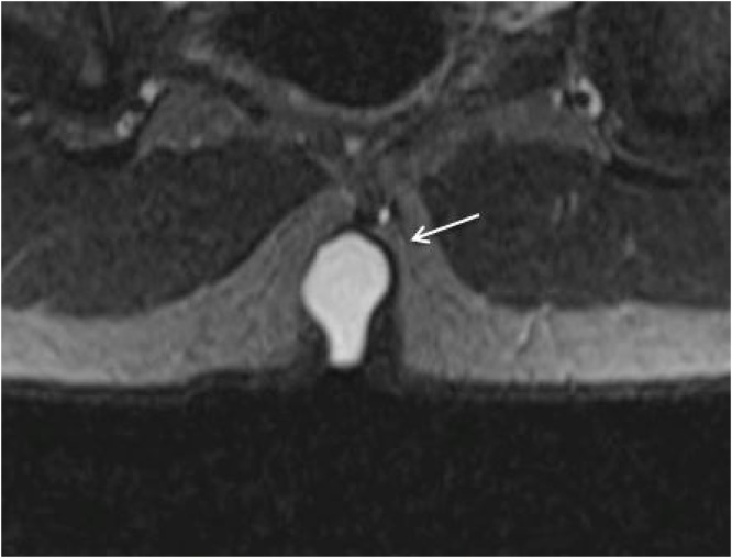 Fig. 9