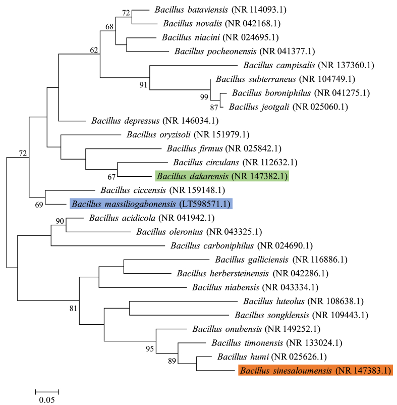 Fig. 2