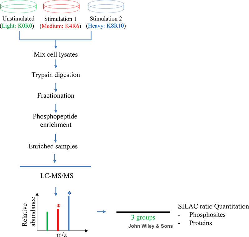 Figure 1: