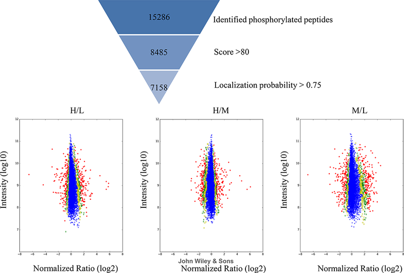 Figure 4: