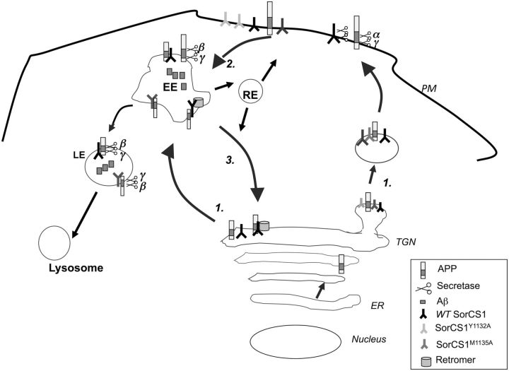 Figure 7.