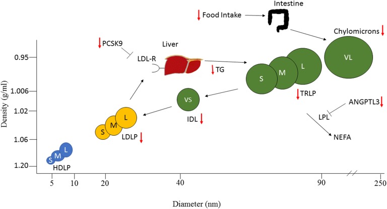 Figure 7.