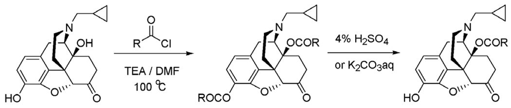 Scheme 1