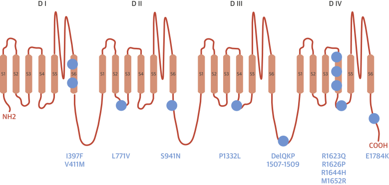 Figure 1