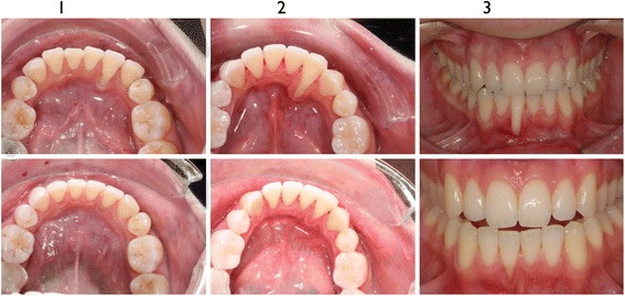 Fig. 6