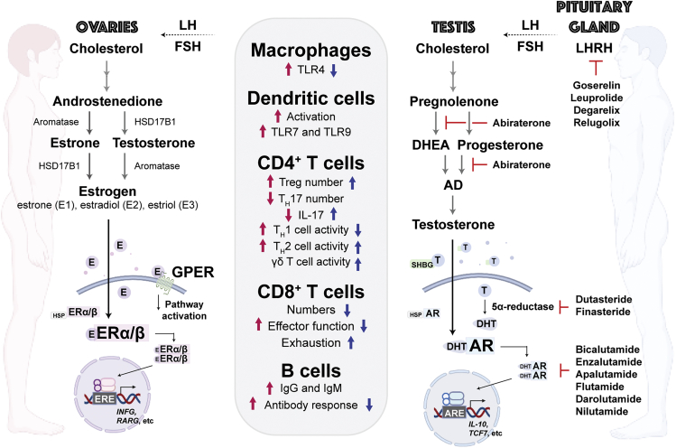 Figure 4