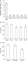 <b>Figure 2.</b>
