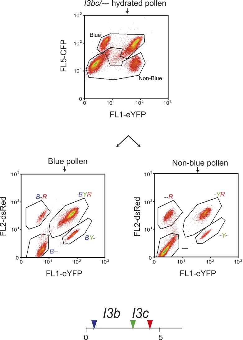 Figure 5—figure supplement 1.