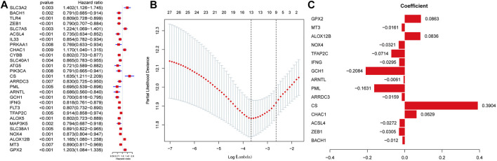 FIGURE 2