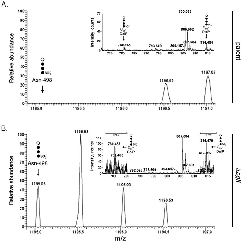 FIG 4 