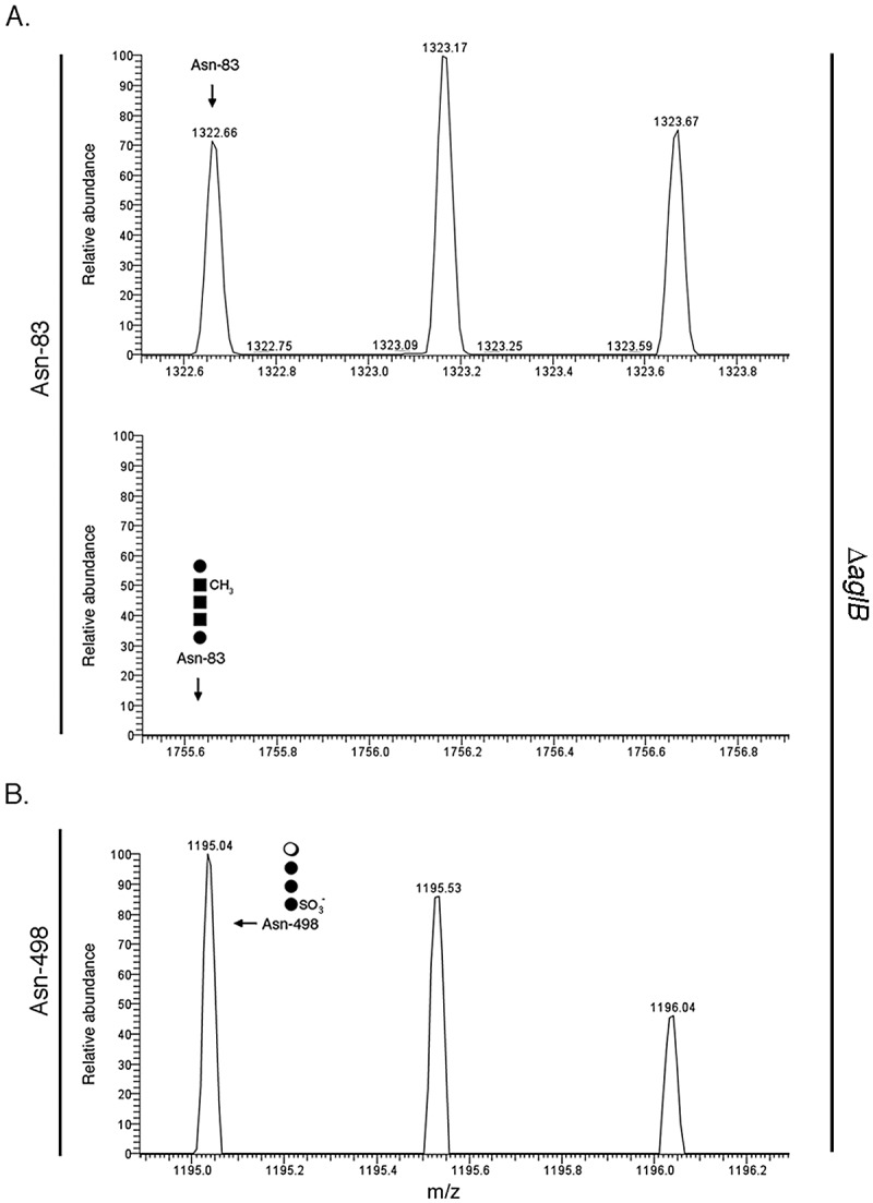 FIG 3 