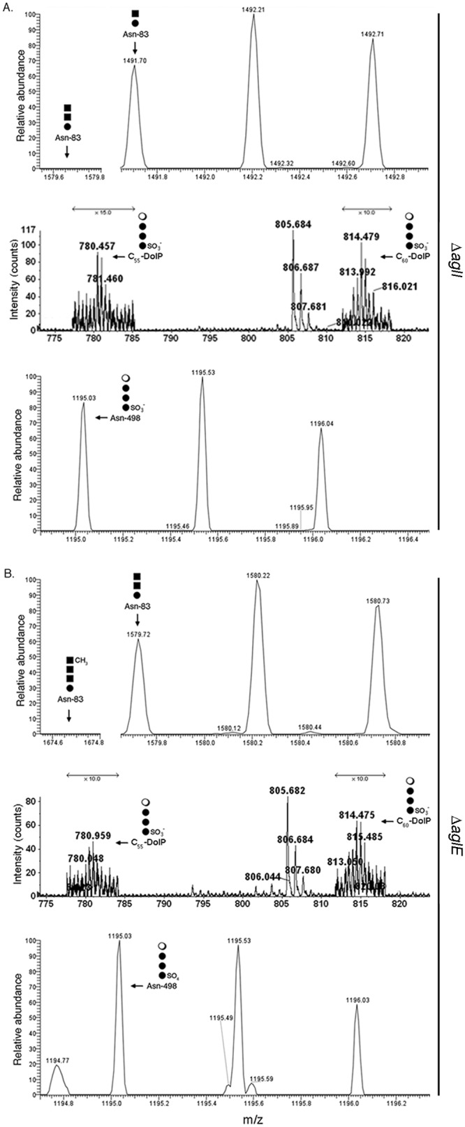 FIG 1 