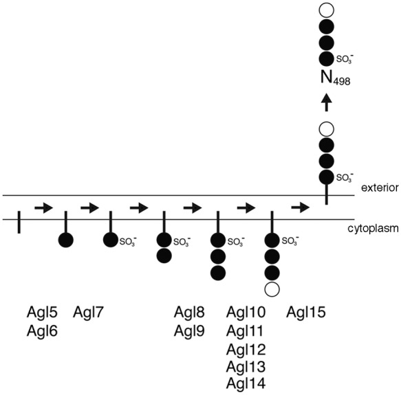 FIG 5 