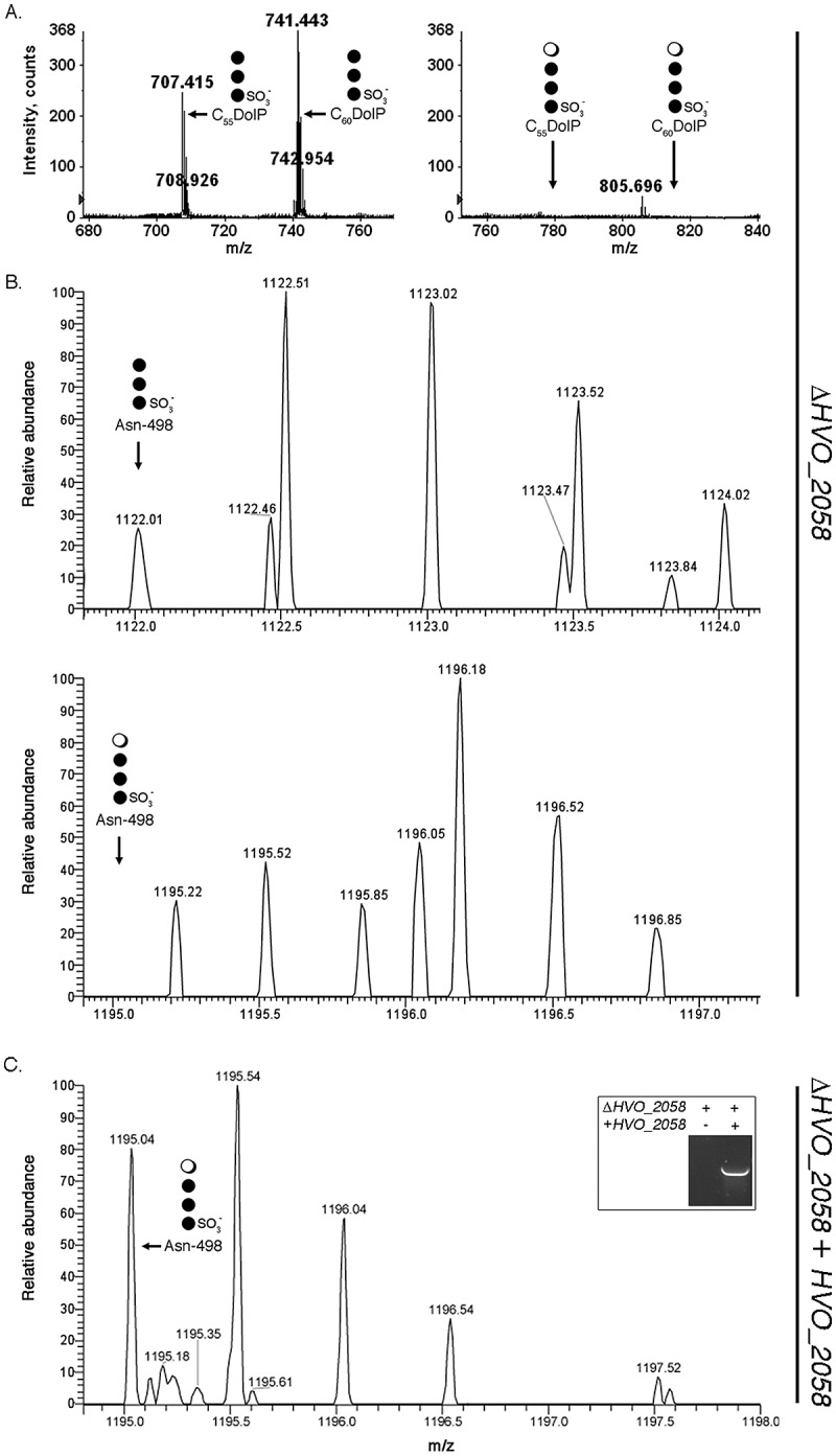 FIG 2 