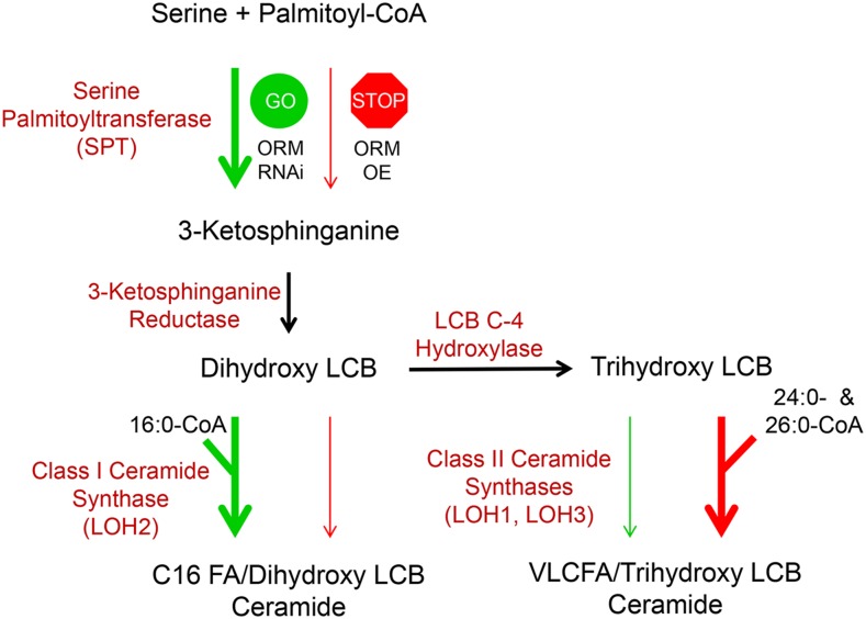 Figure 7.