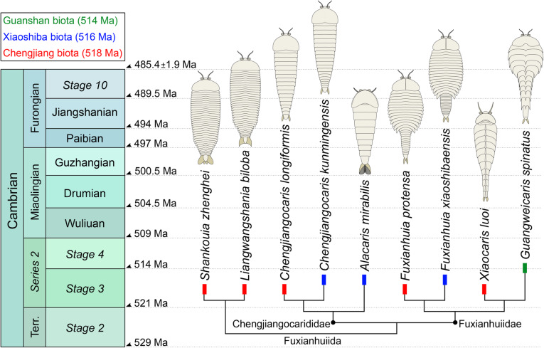 Fig. 8