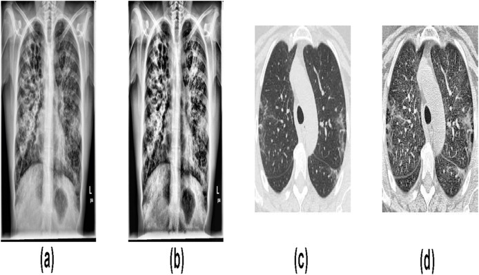 Fig. 7