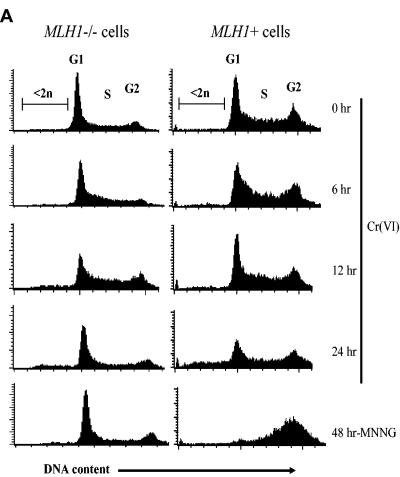 FIG. 7.