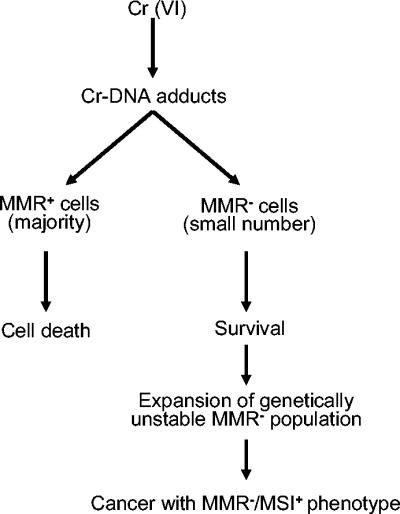 FIG. 8.