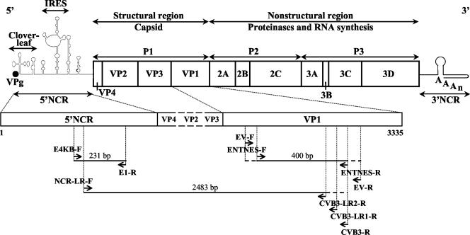 FIG. 1.