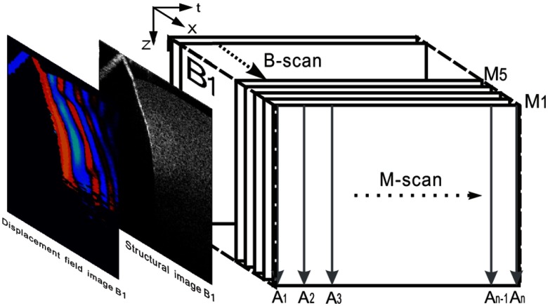 Fig. 2