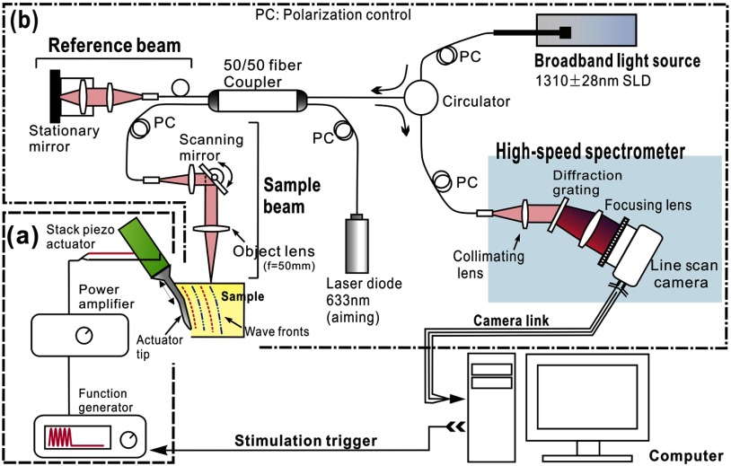 Fig. 1