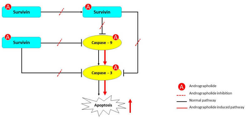 Fig 7