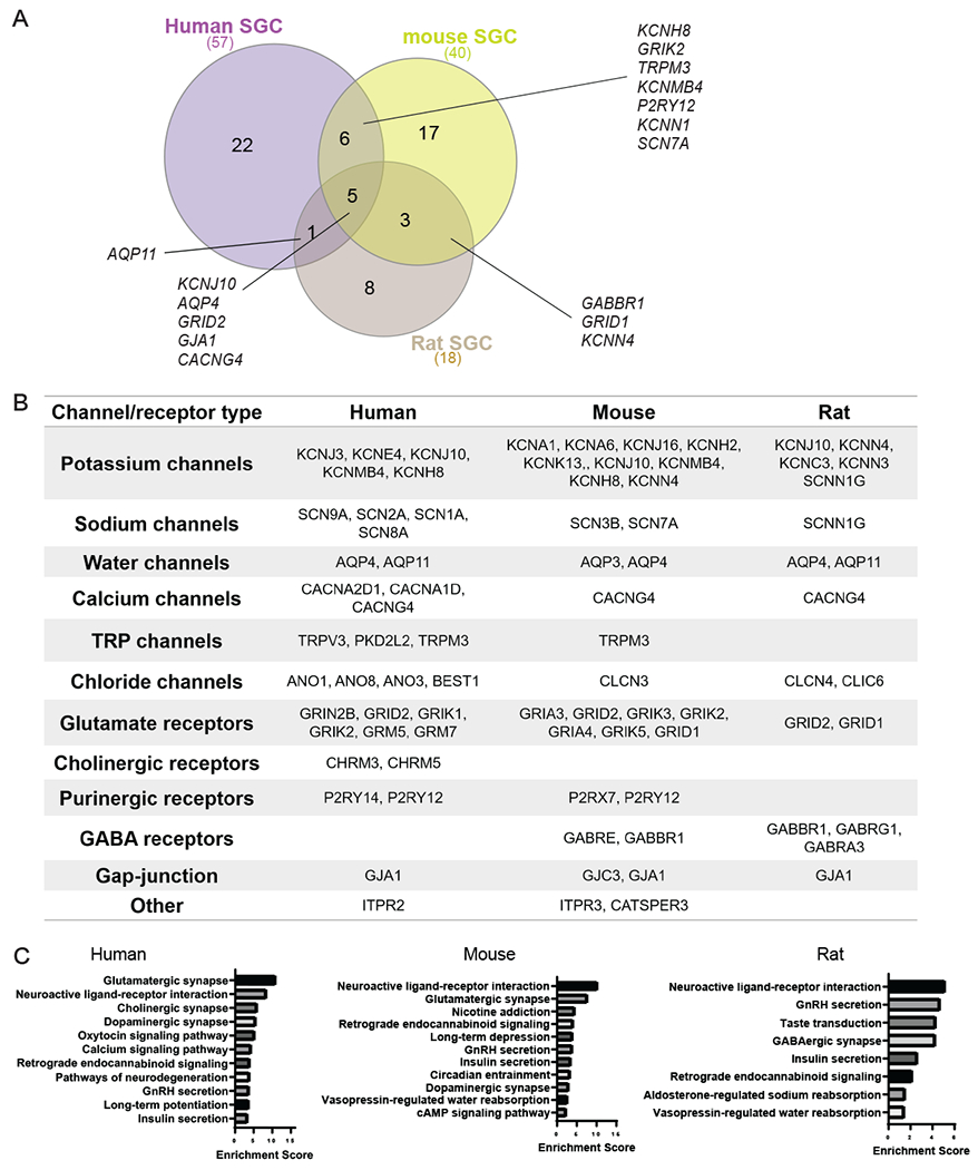 Figure 6: