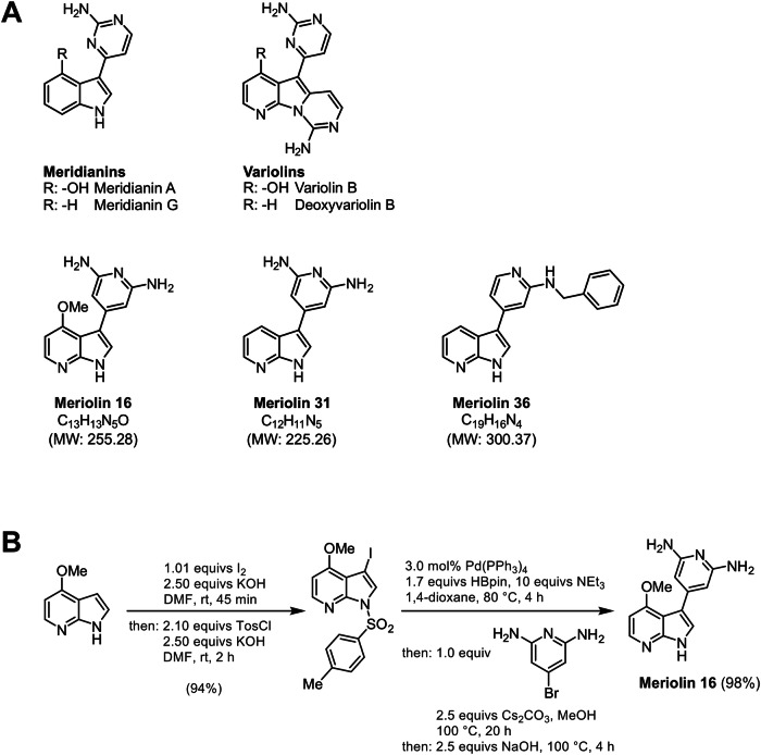 Fig. 1