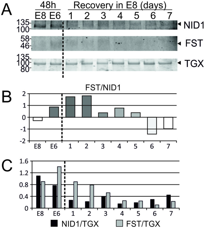 Fig 7