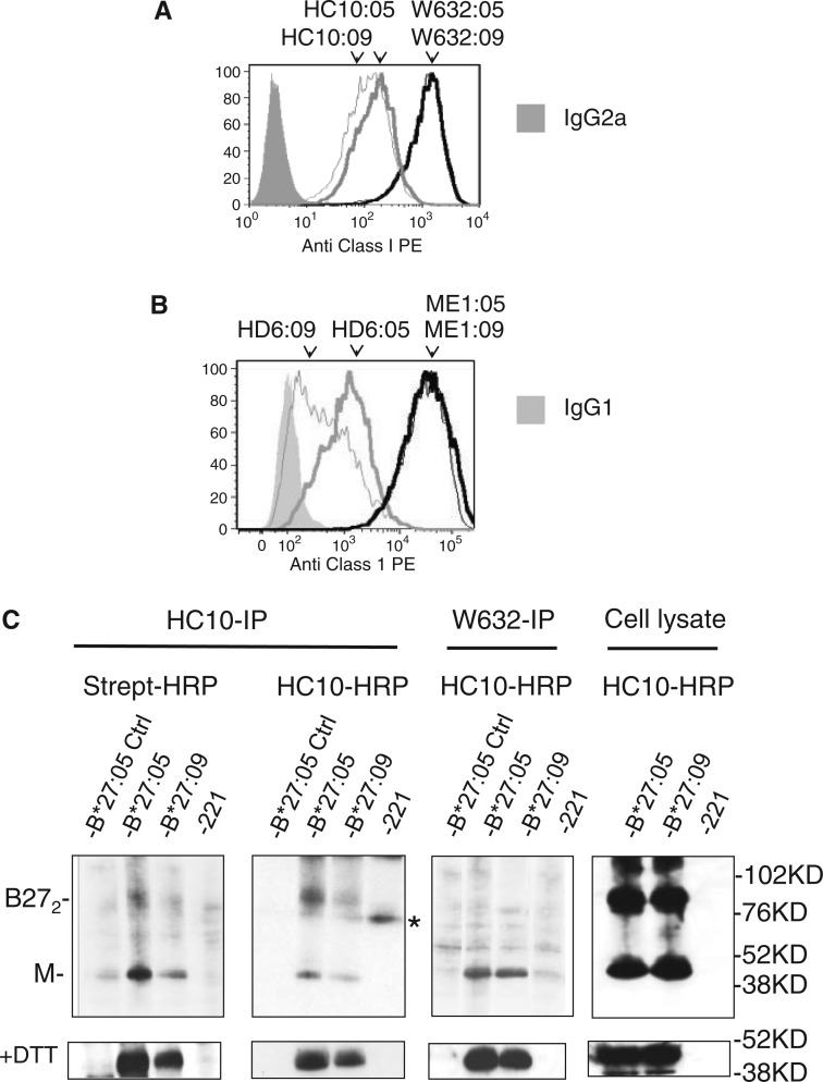 The arthritis-associated HLA-B*27:05 allele forms more cell surface B27 ...