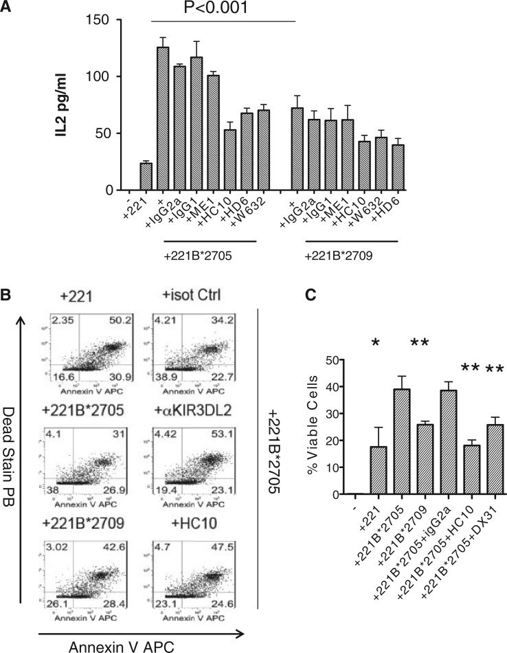 The arthritis-associated HLA-B*27:05 allele forms more cell surface B27 ...