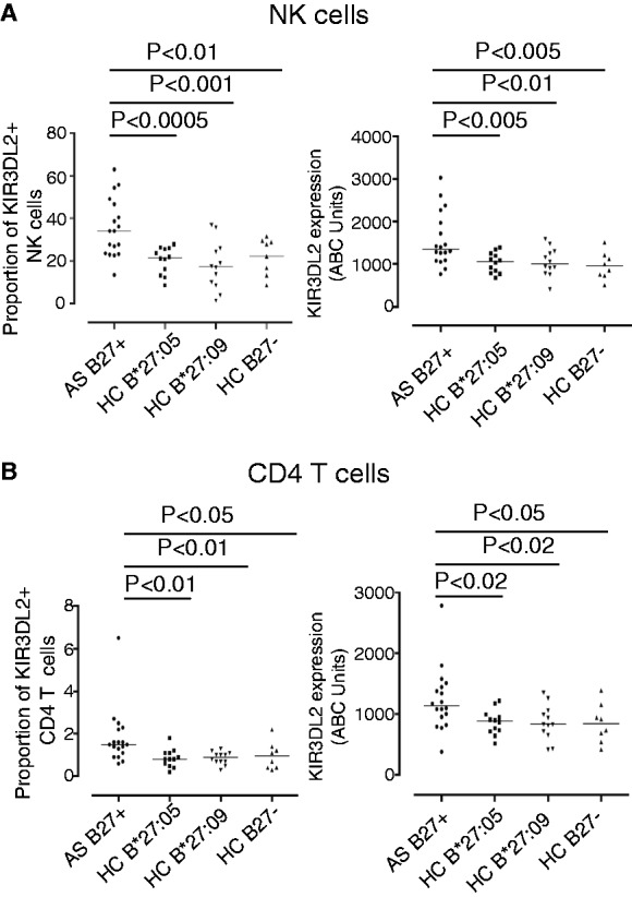 The arthritis-associated HLA-B*27:05 allele forms more cell surface B27 ...