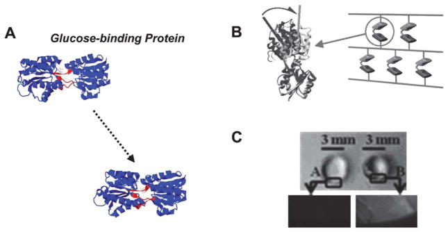 Fig. 2